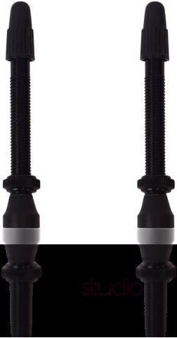 VALVOLE_TUBELESS_Vitoria_alluminio_nero_44mm_1W05ACTV44012AM_0.png