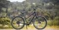 STINSON_000-2_web.jpg