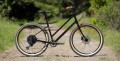 24_Lark2_detail-1.jpg