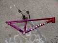 DSC06876.JPG
