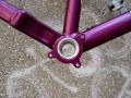 DSC06877.JPG
