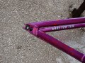 DSC06878.JPG
