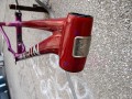 DSC06881.JPG