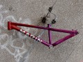 DSC06882.JPG