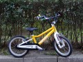 DSC07013.JPG