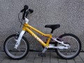 DSC07017.JPG