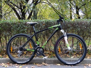 Rower GIANT Revel 26" M