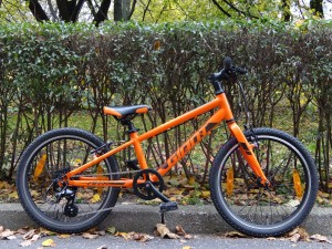 Rower GIANT ARX 20" dziecięcy pomarańczowy