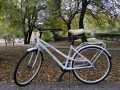 DSC07140.JPG