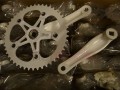 DSC07372.JPG