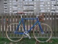 DSC07167.JPG