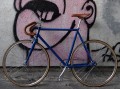 DSC07164.JPG